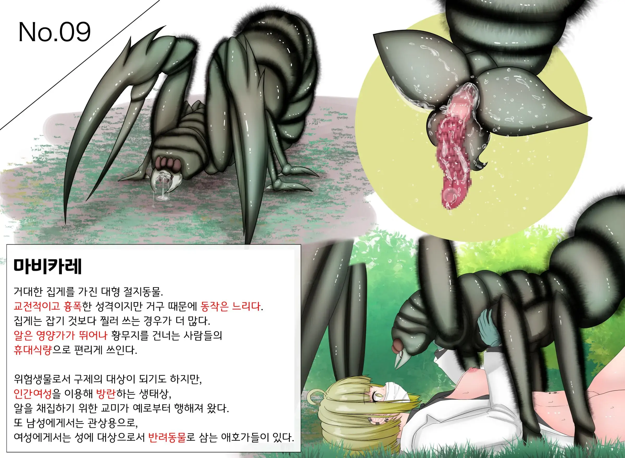Insect Research Report